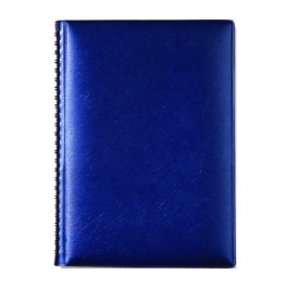 펄(타공식)[16절] 스프링 _ 블루