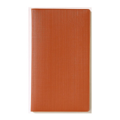 48절 D.S수첩 _ 브라운