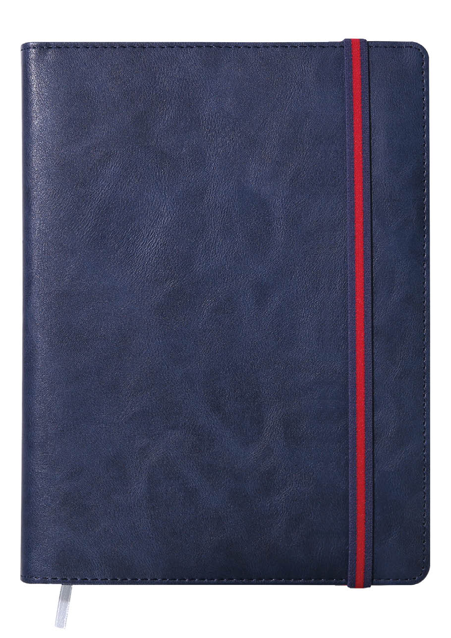 레이나 [25절] 스프링(밴드형) _ 네이비