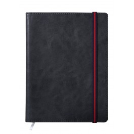 레이나 [32절] 스프링(밴드) _ 진그레이