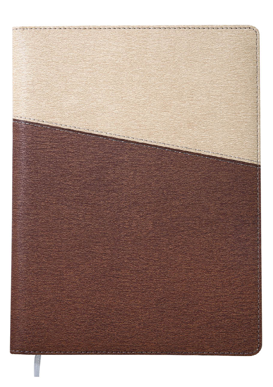 조이[18절] 스프링 _ 브라운