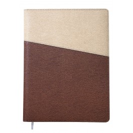 조이[18절] 스프링 _ 브라운