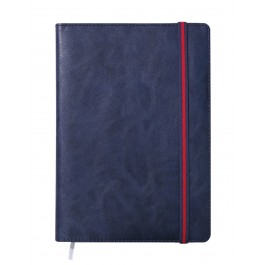 레이나 [40절] 스프링(밴드) _ 네이비