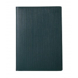 디에스(끼움식)[25절] 양장 _ 그린